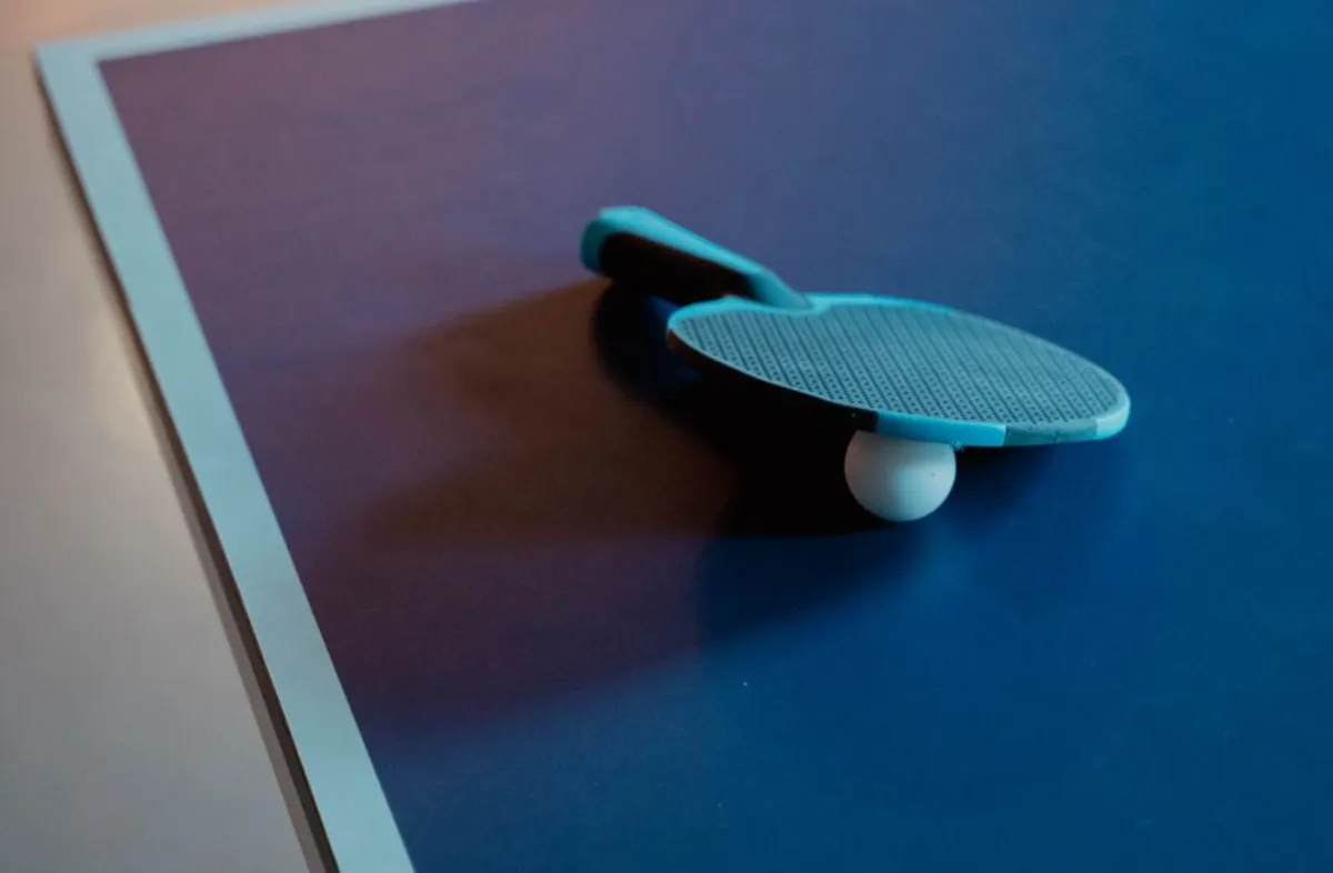 table tennis table