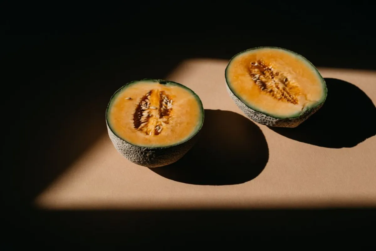 cantaloupe milk