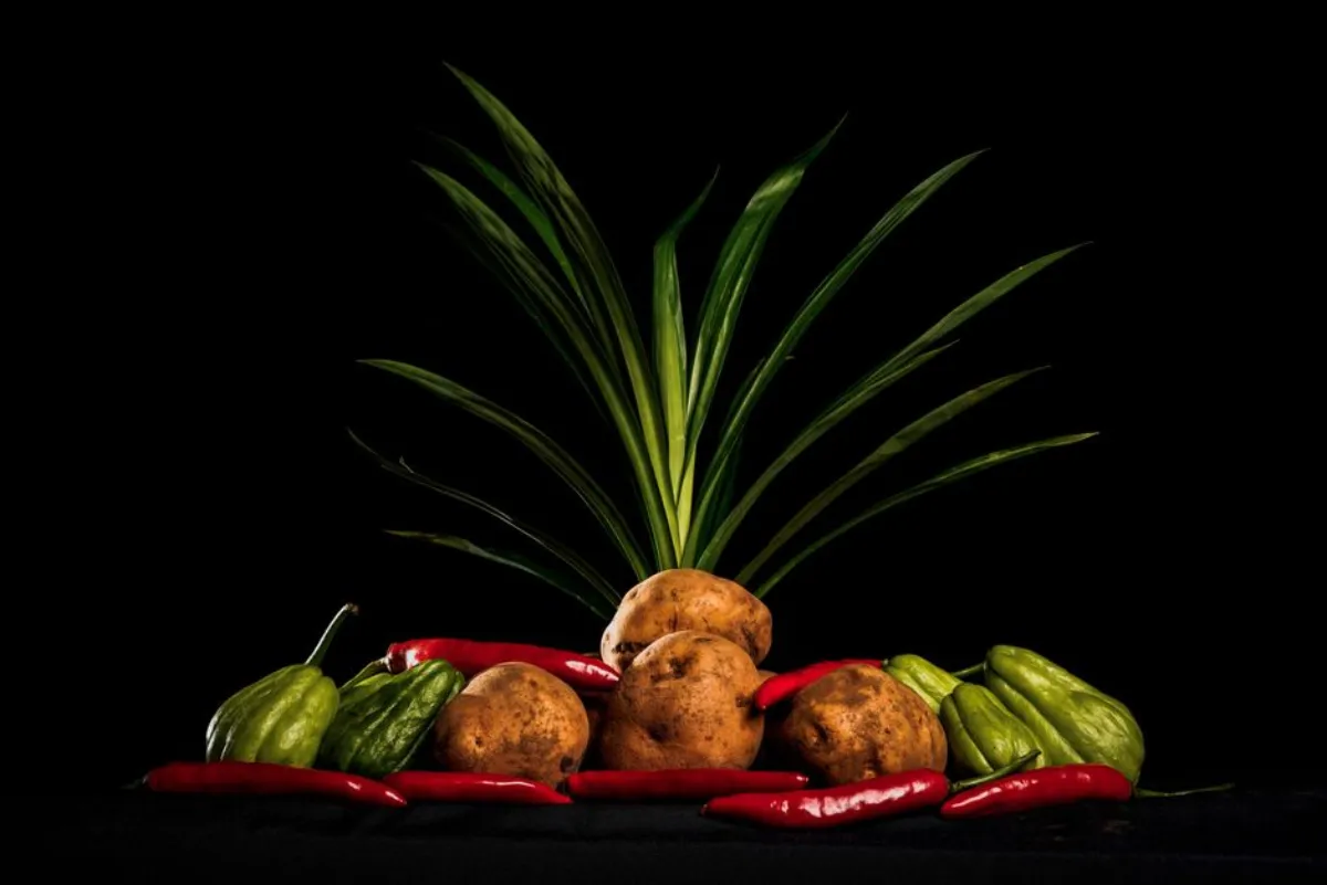 chayote vegetable