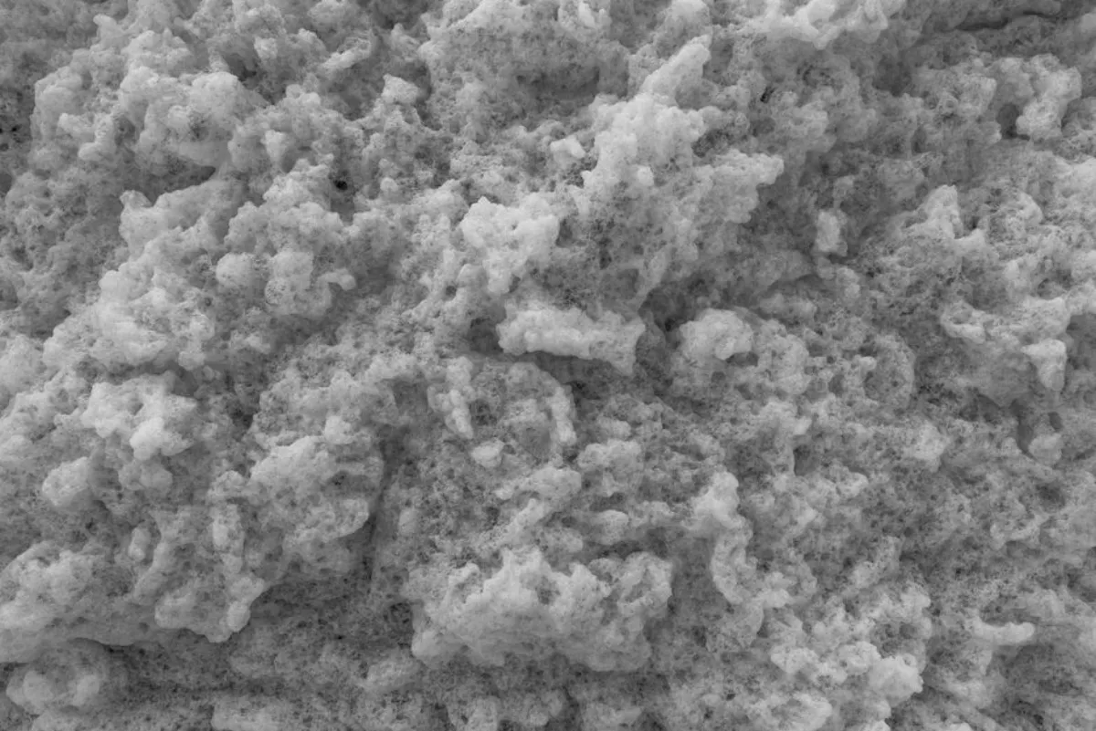 construction foam